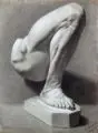 Theodor Kandale, Konvolut von sechs anatomischen Studien. 1890er Jahre, Kohlezeichnungen, weiß gehöht