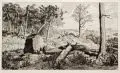 Max Klinger, Simplicius in der Waldeinöde, Um 1881, Radierung auf China, auf Kupferduckpapier aufgewalzt