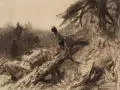 Karl Ritter von Dombrowski, Balzender Auerhahn, Um 1910, Kohlestiftzeichnung