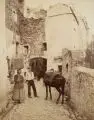 Alfred Noack, Ligurisches Paar mit Maultier, San Remo, Um 1880, Albuminabzug