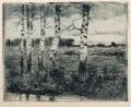 Alexander Olbricht, Sechs Birken, 1904, Farbradierung in Grünschwarz