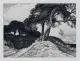 Otto Fischer, / Katharina Krabbes, Sechs Landschaftsdarstellungen. Ohne Jahr