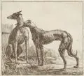 Simon Jacobsz de Vlieger, Simon de Vlieger, Zwei Windhunde, Radierung auf Bütten mit Wasserzeichen