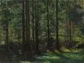 Rudolf Schramm-Zittau, Reh im Fichtenwald, Um 1900, Öl auf Leinwand