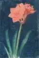 Ludwig von Hofmann, Amaryllis. Ohne Jahr, Pastell