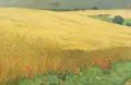 Hans Richard von Volkmann, Kornfeld mit Mohnblumen