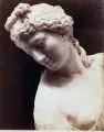 Giorgio Sommer, Kopf der Aphrodite Kallipygos, Um 1880, Albuminabzug auf blauem Untersatzkarton
