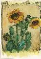 Rüdiger Berlit, Sonnenblumen