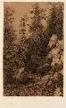 Alexandre Calame, Felsige Waldlandschaft, 1860, Kohlezeichnung