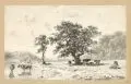 Hermann Kauffmann, Seenlandschaft mit ruhender Herde, 1869, Federzeichnung in Tusche