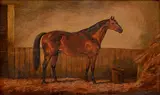 Osamelý kôň by George Friedrich– Pripisované Reichmann, Okolo 1850, Olej na dreve, sold Jun 2016