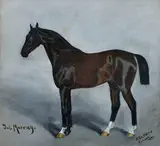 Július Morvay, Kôň – Furioso, 1891, Pastel na papieri