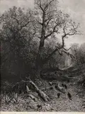 Julius Mařák, Les s diviakmi