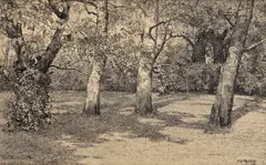 Matysek, Park, 1902, Tuš na papieri