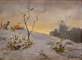 Nándor Katona, Zima