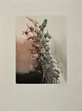 Albín Brunovský, Pýcha a pád, 1989, Lept na papieri, autorský nátlačok