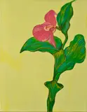 Teren Laco, Cypripedium parviflorum, 1999, Akryl na plátne