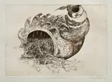 Anna Stanová, The Killer Whale, 2006, Lept na papieri 5/10