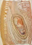 - Mináriková Eva Cisárová, Médea (návrh na tapisériu), 1974, Tempera na papieri