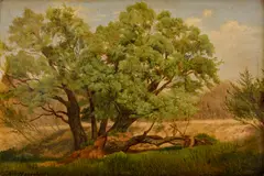 J. N. Spiess, V Prátri, 1854, Olej na plátne