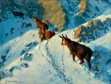 Karl Sovanka, Kamzíky, Okolo 1935, Olej na plátne
