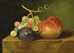 C. Cornelisz, Fruit stilleven, Olieverf op paneel