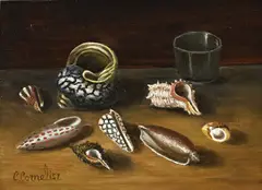 C. Cornelisz, Schelpen, Olieverf op paneel
