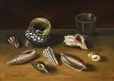 C. Cornelisz, Schelpen, Olieverf op paneel