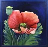Bart ten Bruggencate, Papaver, Olieverf op linnen