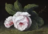 C. Cornelisz, Rozen, Olieverf op paneel