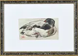 Monogram W.Z., Slapende eend, Potlood op papier