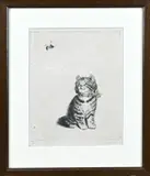 Meta Plückebaum, Kitten met bij, Ets op papier