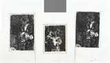 3x Barbara van Houten, Bloemstillevens, Ets op papier