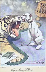George E. Studdy, Hond bij tijgervel, Kleurlitho op papier