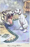 George E. Studdy, Hond bij tijgervel, Kleurlitho op papier