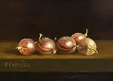 C. Cornelisz, Stilleven met kruisbessen, Olieverf op paneel