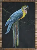 Hendrik Petrus Berlage, Papegaai op tak, Pastel op papier