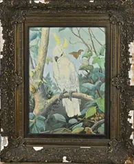 Samuel Schellinck, Kaketoe, Aquarel op papier