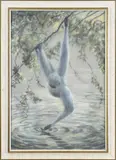 Onduid. gesig., Slingeraap, Pastel op papier