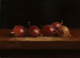 C. Cornelisz, Stilleven met kruisbessen, Olieverf op paneel