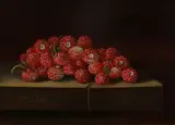 C. Cornelisz, Stilleven met wilde aardbeien, Olieverf op paneel