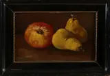 Cornelis de Bruijn, Stilleven met fruit, Olieverf op karton