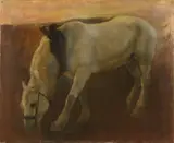 Onduidelijk gesigneerd ca, Paard, 1920, olieverf op linnen, grazend paard (minimale beschadigingen), 51x61cm