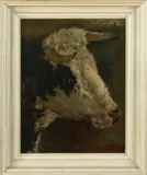 Jan Vrolijk, Studie koeienkop, Olieverf op schilderskarton