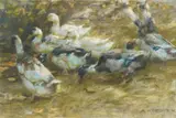 Alexander Koester, Enten im Gras, Pastell auf Papier