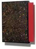 Fred Tomaselli, Phrase Book, 2000, The complete set of one etching, three relief prints and five offset lithographs in colors, on wove paper, all bound and the relief prints tipped-in (as issued), all contained in the original wood and epoxy, hangable, presentation box designed by the artist