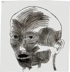 Kiki Smith, Untitled, 1991, Multiple of high-fired enamel on glass, lacking wood shelf
