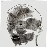 Kiki Smith, Untitled