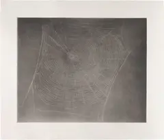 Untitled (Web 4) by Vija Celmins, 2002, Photogravure, aquatint and drypoint with burnishing, on Hahnemühle Copperplate paper, with full margins, sold Oct 2020
