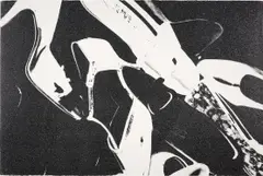 Andy Warhol, Diamond Dust Shoes (Black and White), 1980, Screenprint in black with diamond dust, on Arches Aquarelle paper, the full sheet